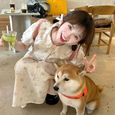 上有老